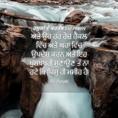 Picture 04 - ਰਸੂਲਾਂ ਦੇ ਕਰਤੱਬ 5:42 PANIRV - ਅਤੇ ਉਹ ਹਰ ਰੋਜ਼ ਹੈਕਲ - Bible Verse Picture