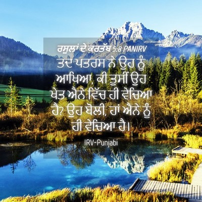 Picture 04 - ਰਸੂਲਾਂ ਦੇ ਕਰਤੱਬ 5:8 PANIRV - ਤਦ ਪਤਰਸ ਨੇ ਉਹ ਨੂੰ - Bible Verse Picture