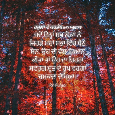 Picture 04 - ਰਸੂਲਾਂ ਦੇ ਕਰਤੱਬ 6:15 PANIRV - ਜਦੋਂ ਉਨ੍ਹਾਂ ਸਭ - Bible Verse Picture