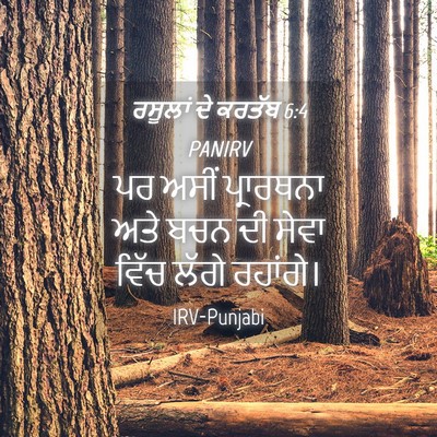 Picture 04 - ਰਸੂਲਾਂ ਦੇ ਕਰਤੱਬ 6:4 PANIRV - ਪਰ ਅਸੀਂ ਪ੍ਰਾਰਥਨਾ - Bible Verse Picture