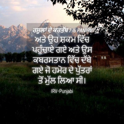 Picture 04 - ਰਸੂਲਾਂ ਦੇ ਕਰਤੱਬ 7:16 PANIRV - ਅਤੇ ਉਹ ਸ਼ਕਮ ਵਿੱਚ - Bible Verse Picture