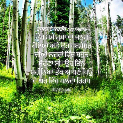 Picture 04 - ਰਸੂਲਾਂ ਦੇ ਕਰਤੱਬ 7:20 PANIRV - ਉਸ ਸਮੇਂ ਮੂਸਾ ਦਾ ਜਨਮ - Bible Verse Picture