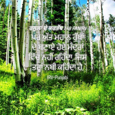 Picture 04 - ਰਸੂਲਾਂ ਦੇ ਕਰਤੱਬ 7:48 PANIRV - ਪਰ ਅੱਤ ਮਹਾਨ ਹੱਥਾਂ - Bible Verse Picture