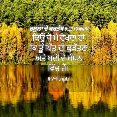 Picture 04 - ਰਸੂਲਾਂ ਦੇ ਕਰਤੱਬ 8:23 PANIRV - ਕਿਉਂ ਜੋ ਮੈਂ ਵੇਖਦਾ - Bible Verse Picture