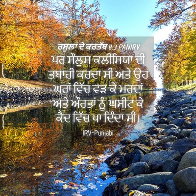 Picture 04 - ਰਸੂਲਾਂ ਦੇ ਕਰਤੱਬ 8:3 PANIRV - ਪਰ ਸੌਲੁਸ ਕਲੀਸਿਯਾ - Bible Verse Picture