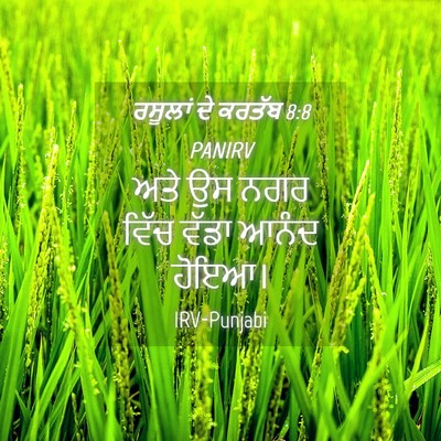 Picture 04 - ਰਸੂਲਾਂ ਦੇ ਕਰਤੱਬ 8:8 PANIRV - ਅਤੇ ਉਸ ਨਗਰ ਵਿੱਚ - Bible Verse Picture