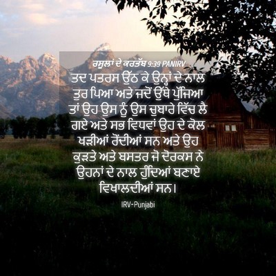 Picture 04 - ਰਸੂਲਾਂ ਦੇ ਕਰਤੱਬ 9:39 PANIRV - ਤਦ ਪਤਰਸ ਉੱਠ ਕੇ - Bible Verse Picture
