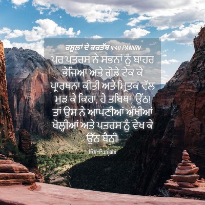 Picture 04 - ਰਸੂਲਾਂ ਦੇ ਕਰਤੱਬ 9:40 PANIRV - ਪਰ ਪਤਰਸ ਨੇ ਸਭਨਾਂ - Bible Verse Picture
