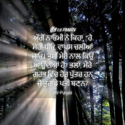 Picture 04 - ਰੁੱਤ 1:11 PANIRV - ਅੱਗੋਂ ਨਾਓਮੀ ਨੇ - Bible Verse Picture