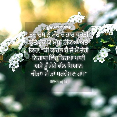 Picture 04 - ਰੁੱਤ 2:10 PANIRV - ਤਦ ਰੂਥ ਨੇ ਮੂੰਹ ਦੇ - Bible Verse Picture
