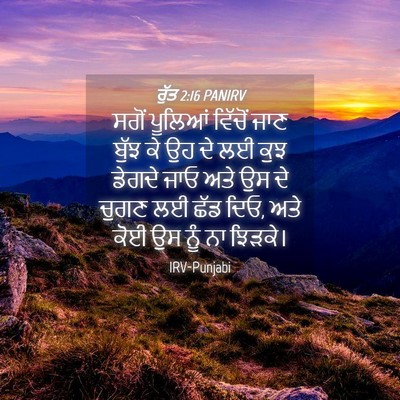 Picture 04 - ਰੁੱਤ 2:16 PANIRV - ਸਗੋਂ ਪੂਲਿਆਂ - Bible Verse Picture