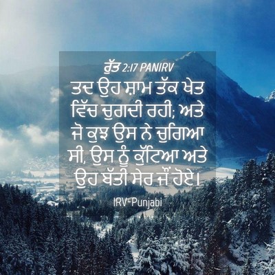Picture 04 - ਰੁੱਤ 2:17 PANIRV - ਤਦ ਉਹ ਸ਼ਾਮ ਤੱਕ ਖੇਤ - Bible Verse Picture