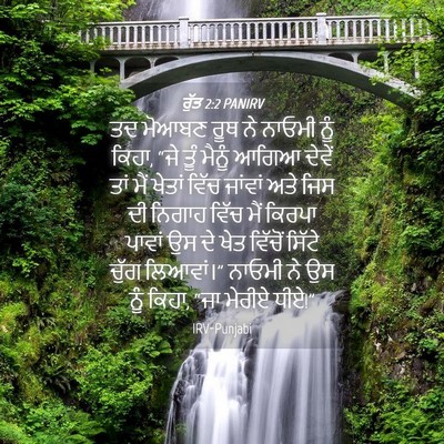 Picture 04 - ਰੁੱਤ 2:2 PANIRV - ਤਦ ਮੋਆਬਣ ਰੂਥ ਨੇ - Bible Verse Picture