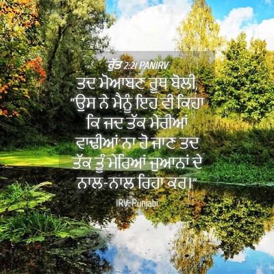 Picture 04 - ਰੁੱਤ 2:21 PANIRV - ਤਦ ਮੋਆਬਣ ਰੂਥ ਬੋਲੀ, - Bible Verse Picture