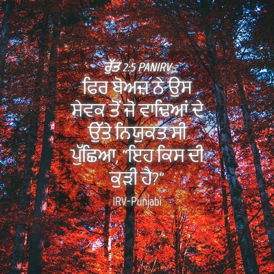 Picture 04 - ਰੁੱਤ 2:5 PANIRV - ਫਿਰ ਬੋਅਜ਼ ਨੇ ਉਸ - Bible Verse Picture