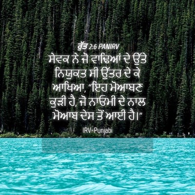 Picture 04 - ਰੁੱਤ 2:6 PANIRV - ਸੇਵਕ ਨੇ ਜੋ ਵਾਢਿਆਂ - Bible Verse Picture