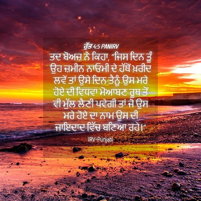Picture 04 - ਰੁੱਤ 4:5 PANIRV - ਤਦ ਬੋਅਜ਼ ਨੇ ਕਿਹਾ, - Bible Verse Picture