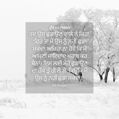Picture 04 - ਰੁੱਤ 4:6 PANIRV - ਤਦ ਉਸ ਛੁਡਾਉਣ ਵਾਲੇ - Bible Verse Picture