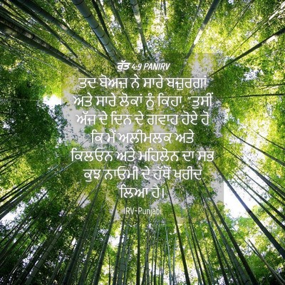 Picture 04 - ਰੁੱਤ 4:9 PANIRV - ਤਦ ਬੋਅਜ਼ ਨੇ ਸਾਰੇ - Bible Verse Picture