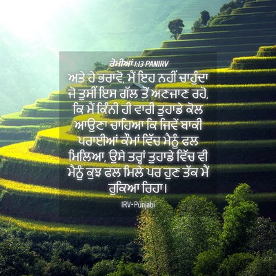 Picture 04 - ਰੋਮੀਆਂ 1:13 PANIRV - ਅਤੇ ਹੇ ਭਰਾਵੋ, ਮੈਂ - Bible Verse Picture