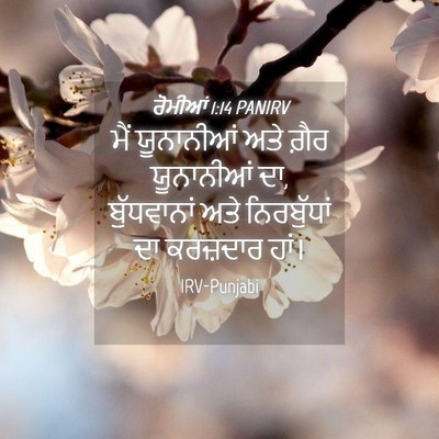 Picture 04 - ਰੋਮੀਆਂ 1:14 PANIRV - ਮੈਂ ਯੂਨਾਨੀਆਂ ਅਤੇ - Bible Verse Picture