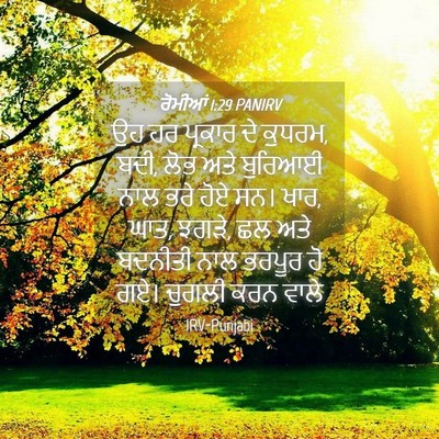 Picture 04 - ਰੋਮੀਆਂ 1:29 PANIRV - ਉਹ ਹਰ ਪ੍ਰਕਾਰ ਦੇ - Bible Verse Picture