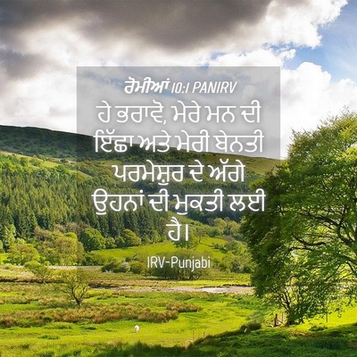 Picture 04 - ਰੋਮੀਆਂ 10:1 PANIRV - ਹੇ ਭਰਾਵੋ, ਮੇਰੇ ਮਨ - Bible Verse Picture