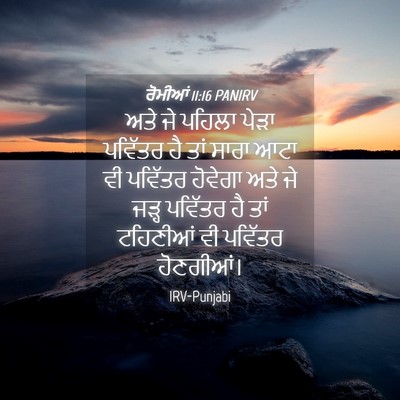 Picture 04 - ਰੋਮੀਆਂ 11:16 PANIRV - ਅਤੇ ਜੇ ਪਹਿਲਾ ਪੇੜਾ - Bible Verse Picture