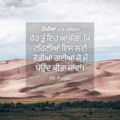 Picture 04 - ਰੋਮੀਆਂ 11:19 PANIRV - ਫੇਰ ਤੂੰ ਇਹ ਆਖੇਂਗਾ, - Bible Verse Picture