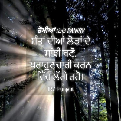 Picture 04 - ਰੋਮੀਆਂ 12:13 PANIRV - ਸੰਤਾਂ ਦੀਆਂ ਲੋੜਾਂ - Bible Verse Picture