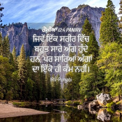 Picture 04 - ਰੋਮੀਆਂ 12:4 PANIRV - ਜਿਵੇਂ ਇੱਕ ਸਰੀਰ - Bible Verse Picture