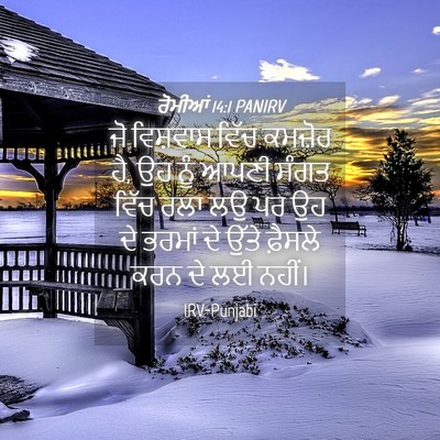 Picture 04 - ਰੋਮੀਆਂ 14:1 PANIRV - ਜੋ ਵਿਸ਼ਵਾਸ ਵਿੱਚ - Bible Verse Picture