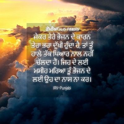 Picture 04 - ਰੋਮੀਆਂ 14:15 PANIRV - ਜੇਕਰ ਤੇਰੇ ਭੋਜਨ ਦੇ - Bible Verse Picture