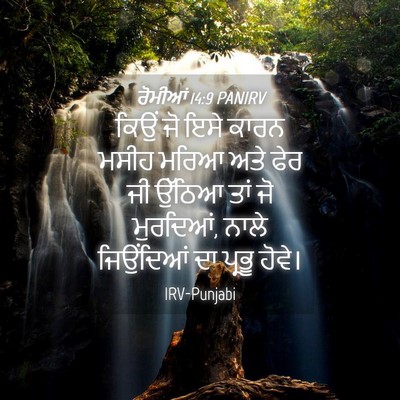 Picture 04 - ਰੋਮੀਆਂ 14:9 PANIRV - ਕਿਉਂ ਜੋ ਇਸੇ ਕਾਰਨ - Bible Verse Picture
