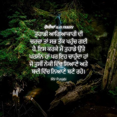 Picture 04 - ਰੋਮੀਆਂ 16:19 PANIRV - ਤੁਹਾਡੀ ਆਗਿਆਕਾਰੀ - Bible Verse Picture