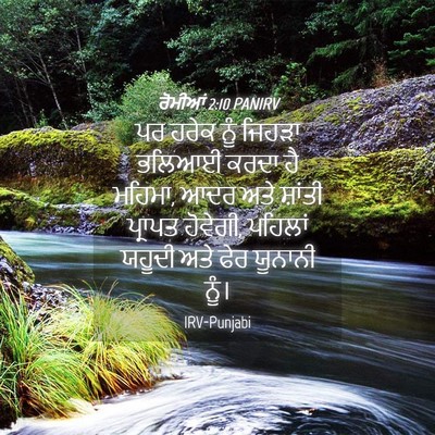 Picture 04 - ਰੋਮੀਆਂ 2:10 PANIRV - ਪਰ ਹਰੇਕ ਨੂੰ ਜਿਹੜਾ - Bible Verse Picture