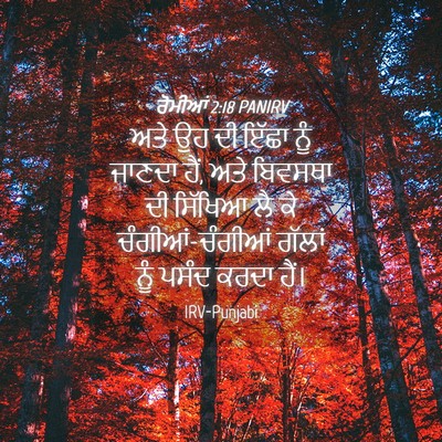 Picture 04 - ਰੋਮੀਆਂ 2:18 PANIRV - ਅਤੇ ਉਹ ਦੀ ਇੱਛਾ ਨੂੰ - Bible Verse Picture