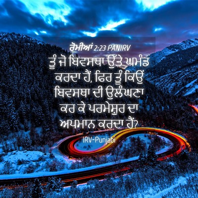 Picture 04 - ਰੋਮੀਆਂ 2:23 PANIRV - ਤੂੰ ਜੋ ਬਿਵਸਥਾ ਉੱਤੇ - Bible Verse Picture