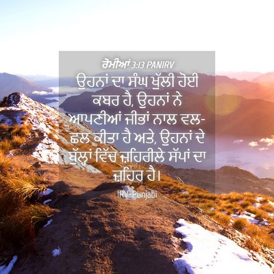 Picture 04 - ਰੋਮੀਆਂ 3:13 PANIRV - ਉਹਨਾਂ ਦਾ ਸੰਘ ਖੁੱਲੀ - Bible Verse Picture
