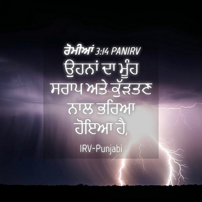 Picture 04 - ਰੋਮੀਆਂ 3:14 PANIRV - ਉਹਨਾਂ ਦਾ ਮੂੰਹ ਸਰਾਪ - Bible Verse Picture