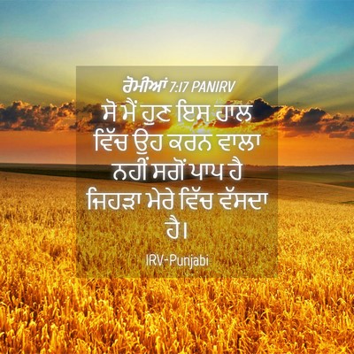 Picture 04 - ਰੋਮੀਆਂ 7:17 PANIRV - ਸੋ ਮੈਂ ਹੁਣ ਇਸ ਹਾਲ - Bible Verse Picture