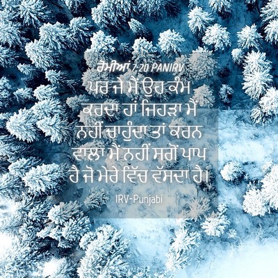 Picture 04 - ਰੋਮੀਆਂ 7:20 PANIRV - ਪਰ ਜੇ ਮੈਂ ਉਹ ਕੰਮ - Bible Verse Picture