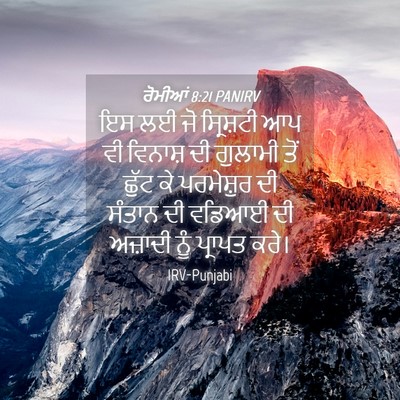Picture 04 - ਰੋਮੀਆਂ 8:21 PANIRV - ਇਸ ਲਈ ਜੋ ਸ੍ਰਿਸ਼ਟੀ - Bible Verse Picture