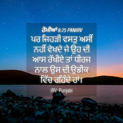 Picture 04 - ਰੋਮੀਆਂ 8:25 PANIRV - ਪਰ ਜਿਹੜੀ ਵਸਤੁ ਅਸੀਂ - Bible Verse Picture