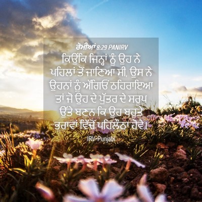 Picture 04 - ਰੋਮੀਆਂ 8:29 PANIRV - ਕਿਉਂਕਿ ਜਿਨ੍ਹਾਂ - Bible Verse Picture