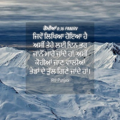 Picture 04 - ਰੋਮੀਆਂ 8:36 PANIRV - ਜਿਵੇਂ ਲਿਖਿਆ ਹੋਇਆ - Bible Verse Picture