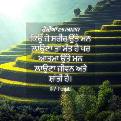 Picture 04 - ਰੋਮੀਆਂ 8:6 PANIRV - ਕਿਉਂ ਜੋ ਸਰੀਰ ਉੱਤੇ - Bible Verse Picture