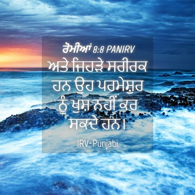 Picture 04 - ਰੋਮੀਆਂ 8:8 PANIRV - ਅਤੇ ਜਿਹੜੇ ਸਰੀਰਕ ਹਨ - Bible Verse Picture
