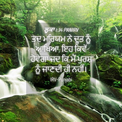 Picture 04 - ਲੂਕਾ 1:34 PANIRV - ਤਦ ਮਰਿਯਮ ਨੇ ਦੂਤ ਨੂੰ - Bible Verse Picture
