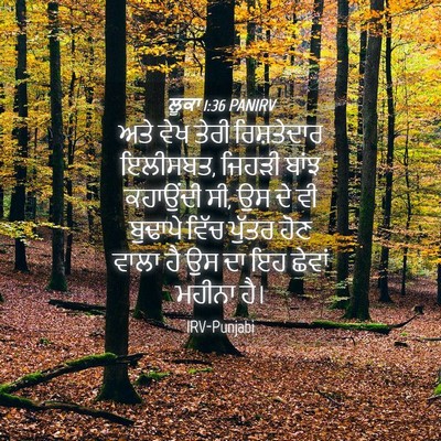 Picture 04 - ਲੂਕਾ 1:36 PANIRV - ਅਤੇ ਵੇਖ ਤੇਰੀ - Bible Verse Picture